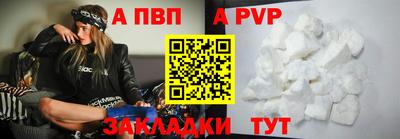 ешки Кингисепп