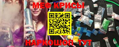 ешки Кингисепп