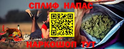 ешки Кингисепп