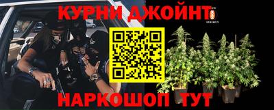 ешки Кингисепп