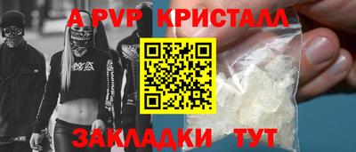 ешки Кингисепп