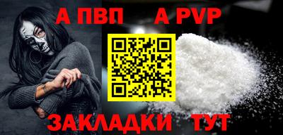 ешки Кингисепп