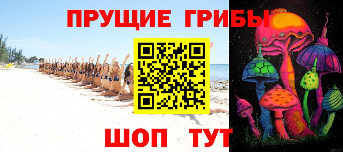 как найти   Галлюциногенные грибы Cubensis  Вход с VPN  Кушва 